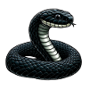 Mamba Black - Legénde Black