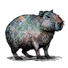 Cabybara