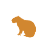 Capybara Costume