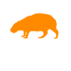 Capybara