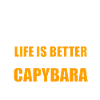 Capybara