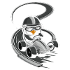 Pingouin coureur sur kart