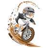 Plaisir du pingouin à vélo