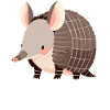 Armadillo Gürteltiere Gürteltier