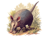 Armadillo Gürteltiere Gürteltier