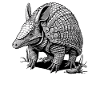 Armadillo Gürteltiere Gürteltier