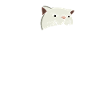 Katze beißt Hai