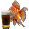 Goldfisch Bier