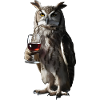 Eule Wein
