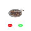 Snake Calls