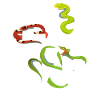 Snake Love
