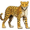 Guépard