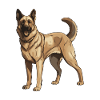 German Shepherd Dog
