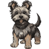 Yorkshire Terrier Dog