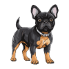 Bouledogue Français