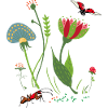 Flower with insects