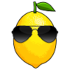 Agrumes Vitamine C Citron frais