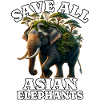 Save Asian Elephant