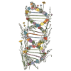 DNA-streng af blomster, vilde blomster, biologi