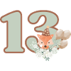 13th Birthday Fox Flowers