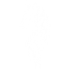 White Horse