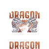 Dragon Wings China Fantasy