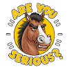 T’es sérieux? Cheval drôle