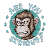 T’es sérieux? Singe drôle