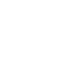 Origami Crane