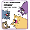 Chats le matin