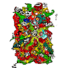 Cerveau fou