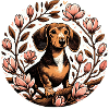 Weiner Dog