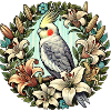Cockatiel