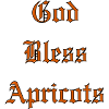 GodBlessApricots