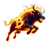 Bull run Bitcoin
