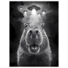 Capybara Selfie Ufo Aliens Funny Animals Pictures