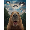Capybara Selfie Ufo Funny Animals Pictures