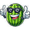 Cool Watermelon Summer Fruit Sunglasses