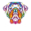 Rottweiler Dog Popart