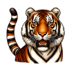 Majestic Tiger