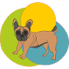 Funny Dog