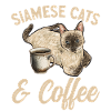 Siamese Cat Siamese Cat