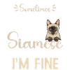 Siamese Cat Siamese Cat