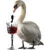Schwan Wein