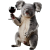 Koala Wein