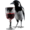 Elster Wein