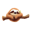 Cute Sloth