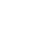Silhouette d’ombre dauphin-dauphin