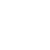 Dolphin Dolphins