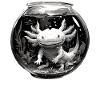 Axolotl